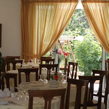 Alpha Hotel 4*