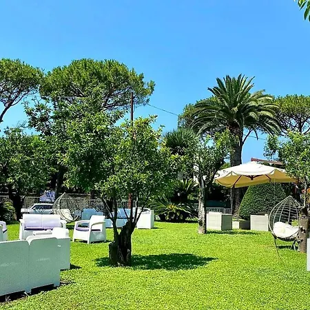 Alpha Sant'Agnello